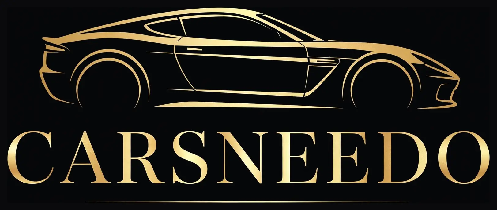 CARSNEEDO LLC